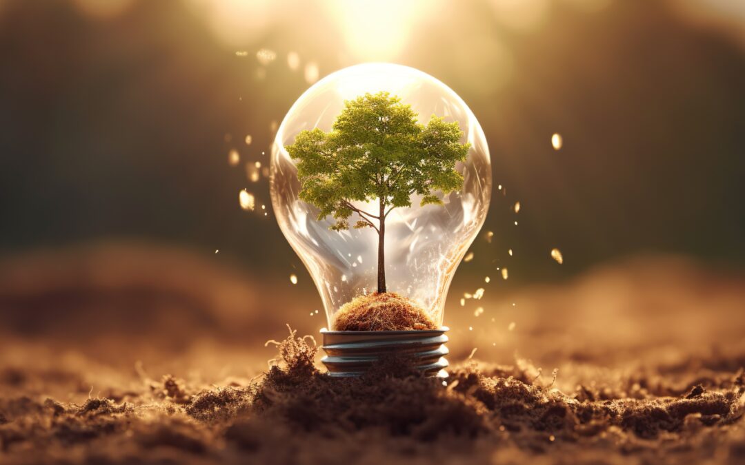 The Art of Sustaining Lean Transformations