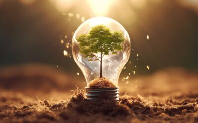 The Art of Sustaining Lean Transformations